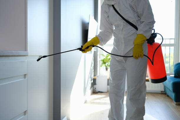 Best Residential Mold Removal  in Sugarcreek, OH