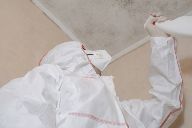 Best Mold Damage Repair  in Sugarcreek, OH